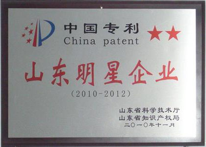 中国专利--山东明星企业
